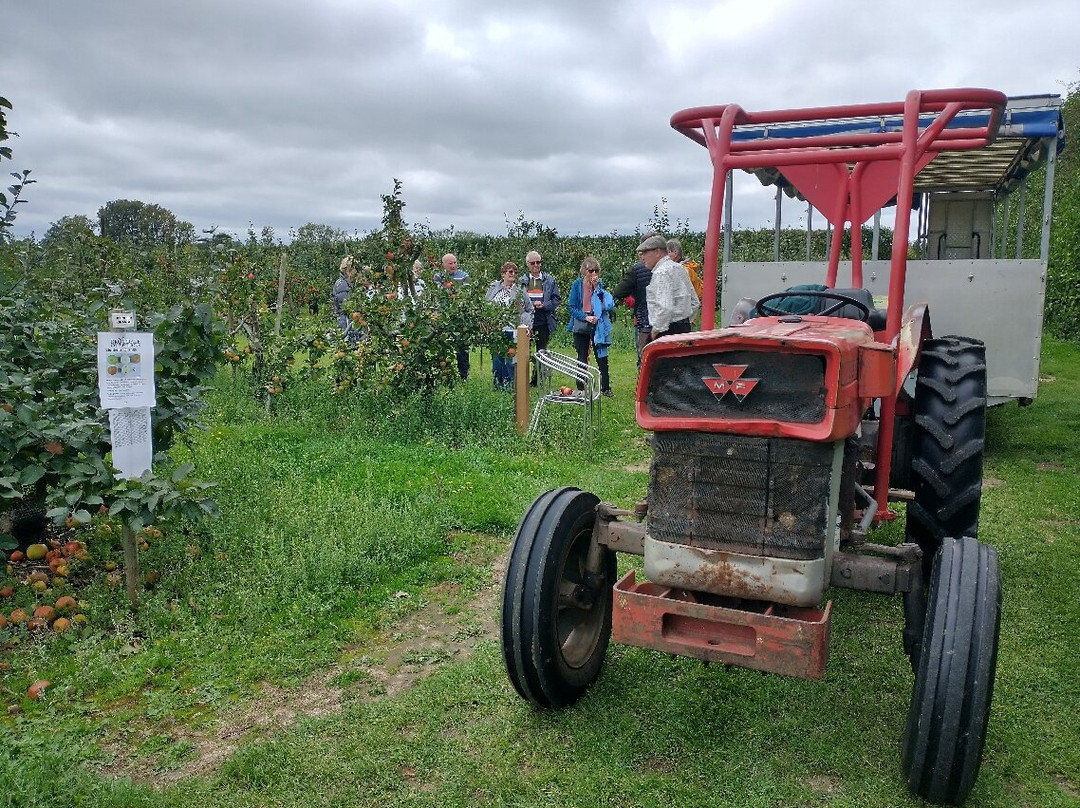 Brogdale Collections-Faversham必去景点