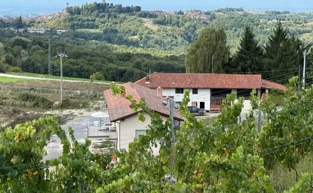 Podere Martina-Murazzano必去景点