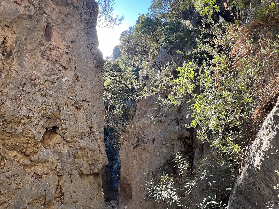Kritsa Gorge-Kritsa必去景点