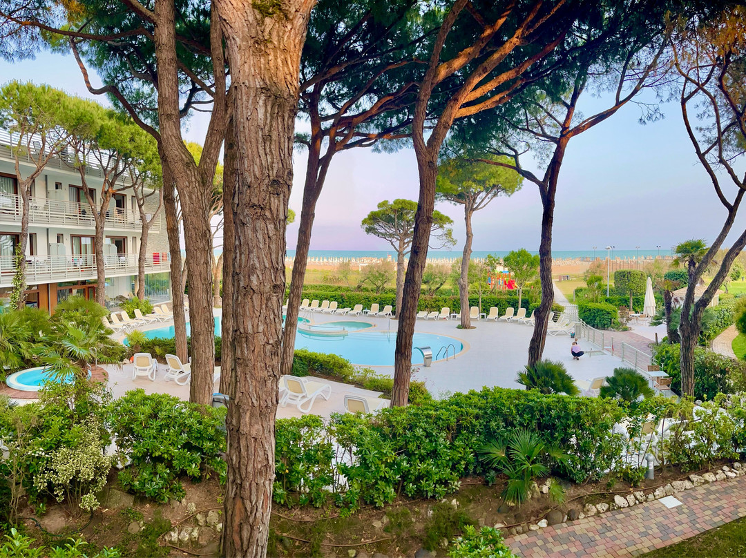 Park Hotel Pineta - Family Relax Resort主图