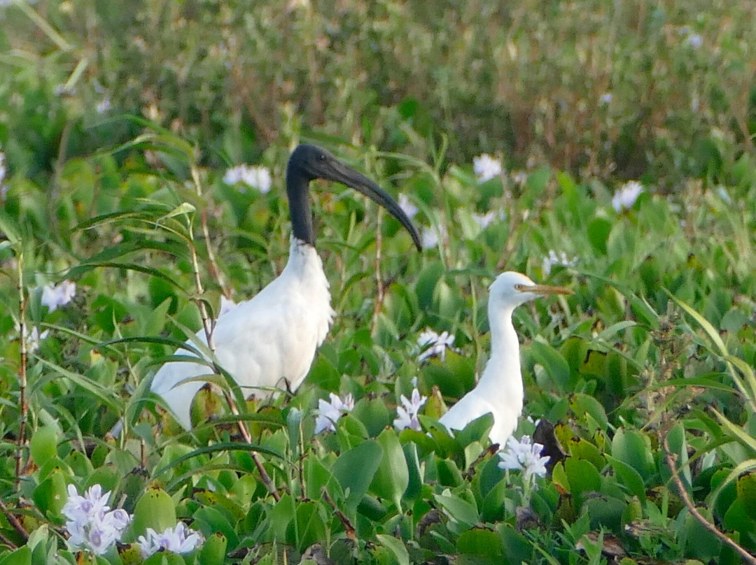 Hotel Peace & Lodge主图