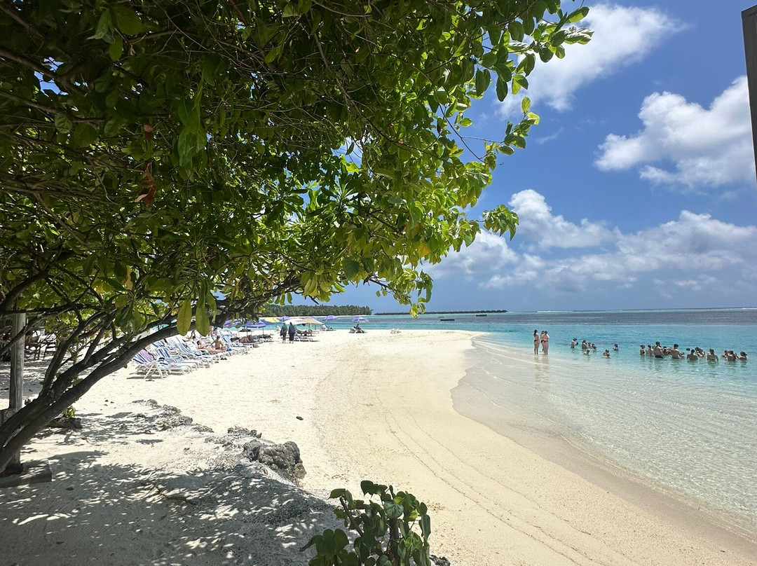 Bibee Maldives主图