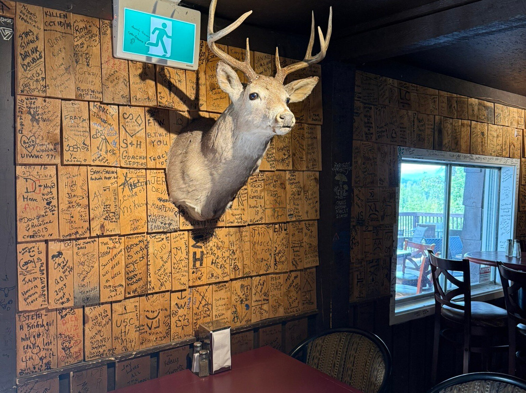 Bearberry Saloon-桑德必去景点