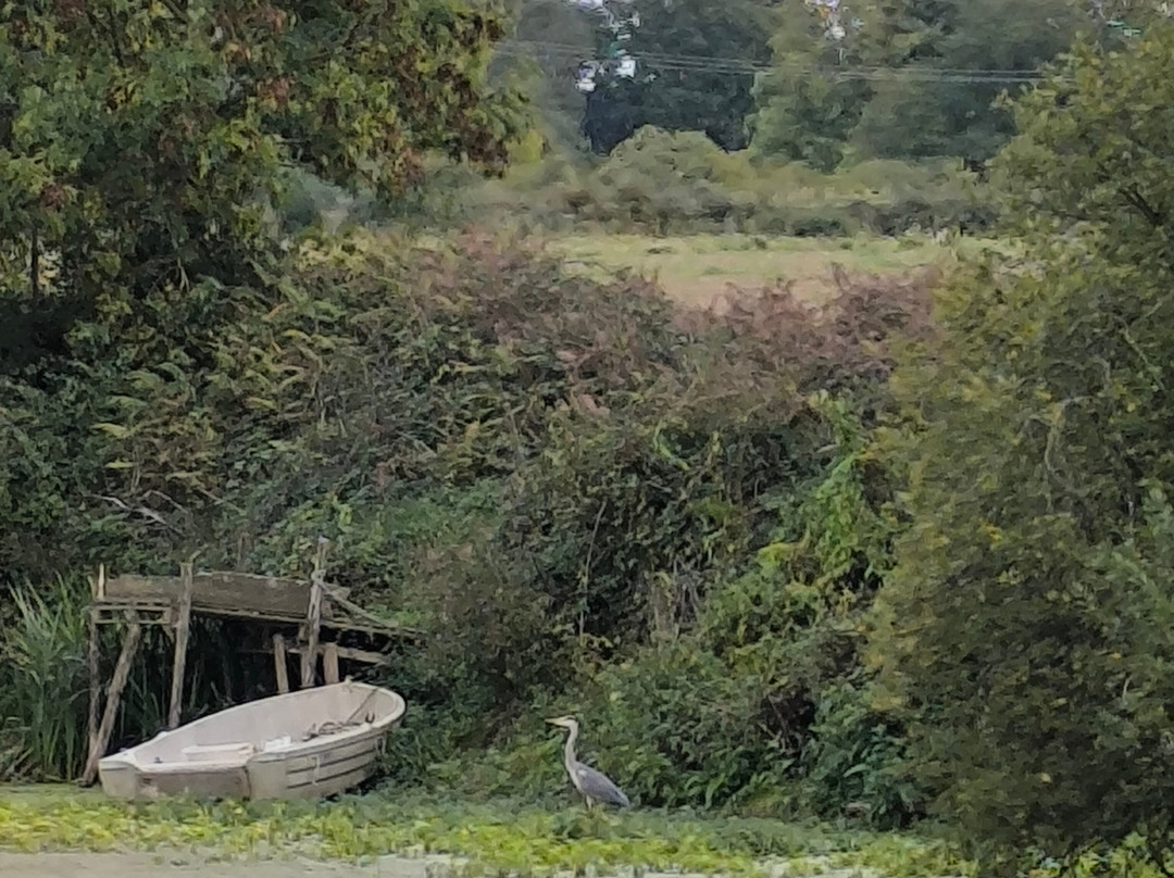 Le Boat - Messac-Messac必去景点