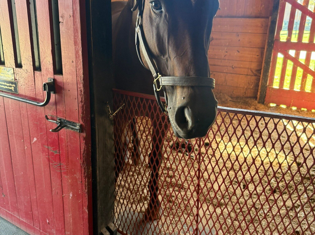 Hermitage Farm-Goshen必去景点