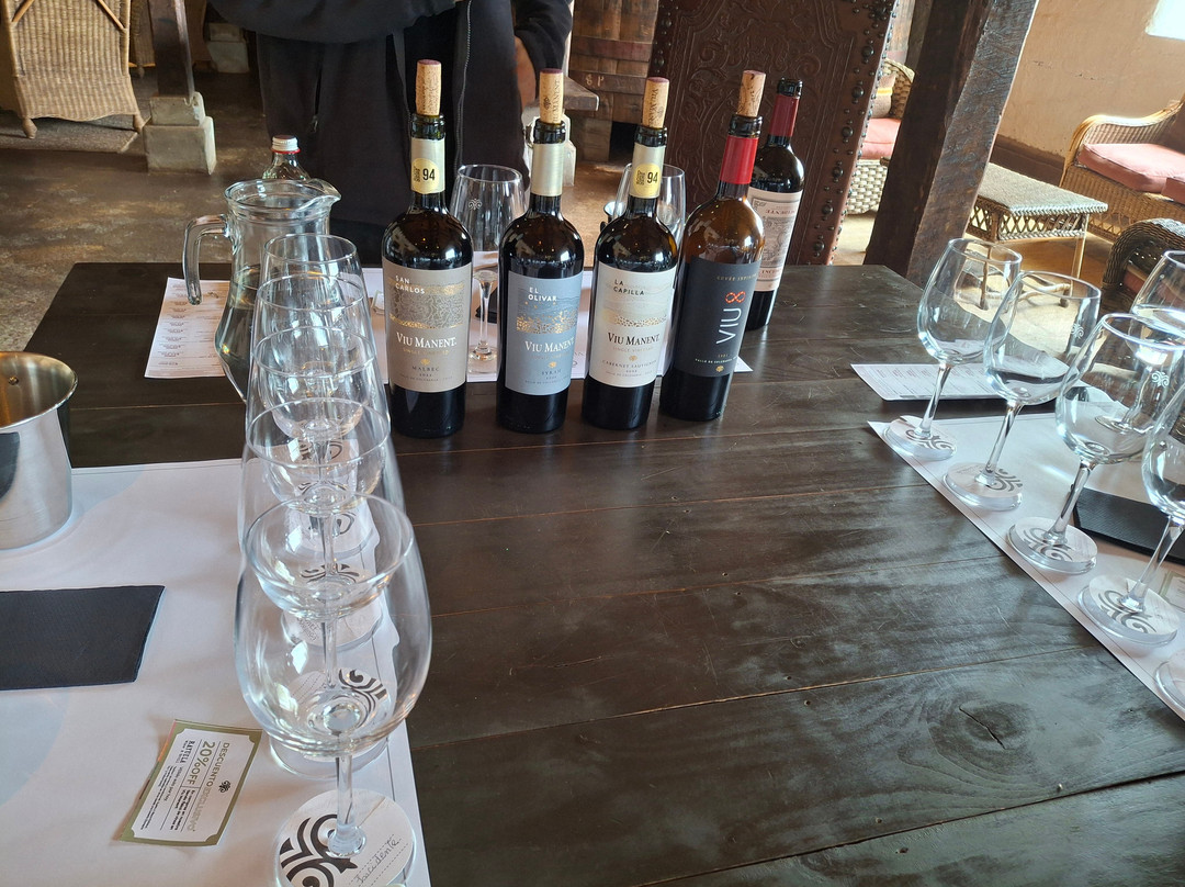 Ruta del Vino - Vinos y Tours-圣克鲁斯必去景点