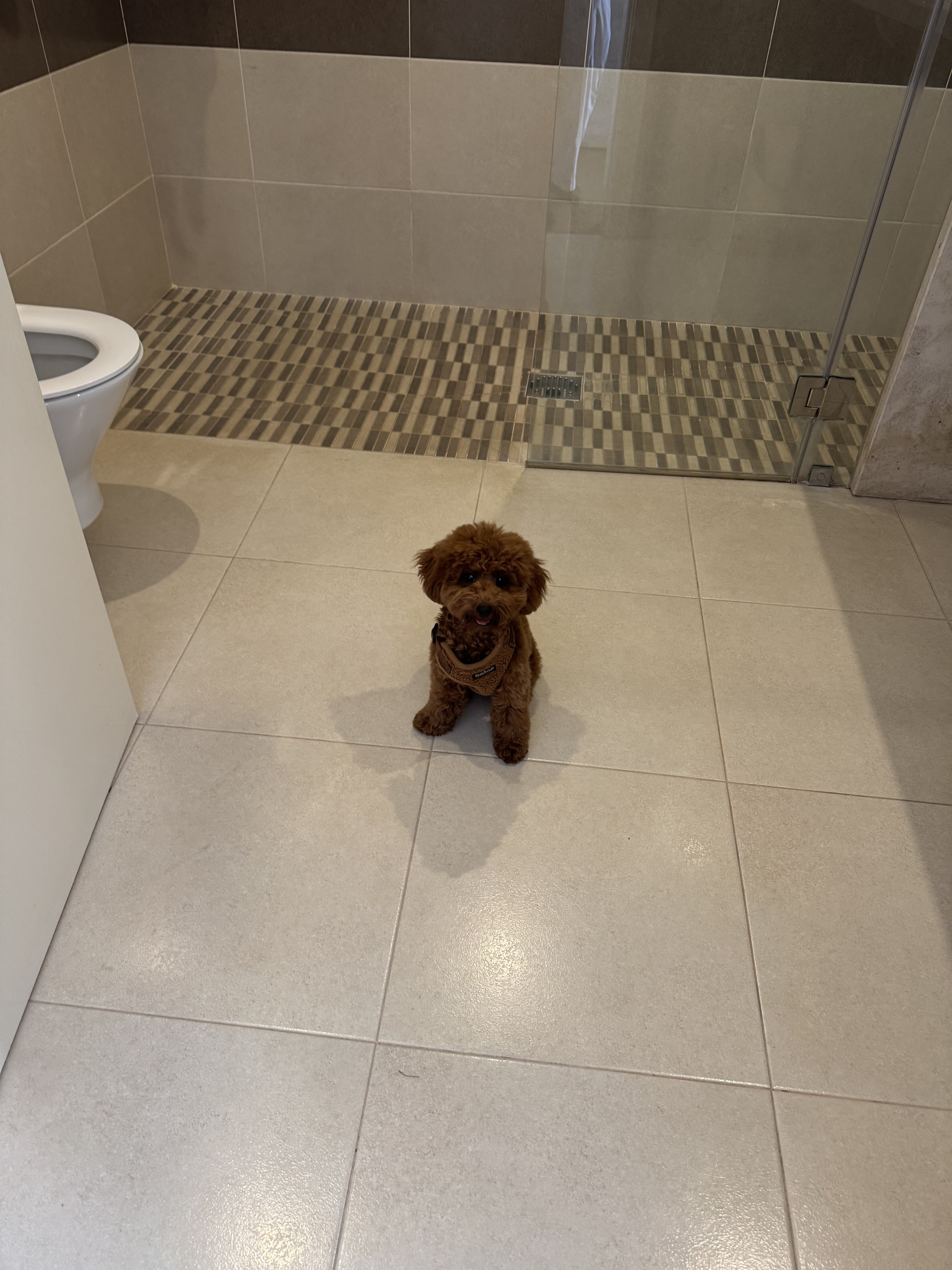 Casa Branca Turismo Rural-官方