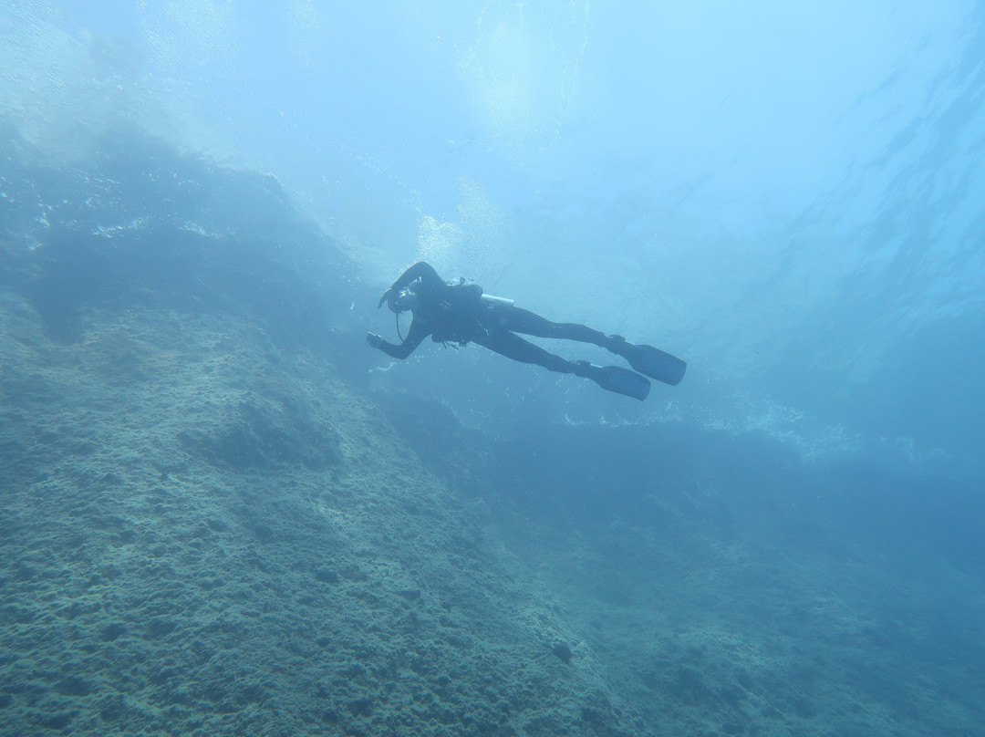 Chania Diving Center-干尼亚必去景点