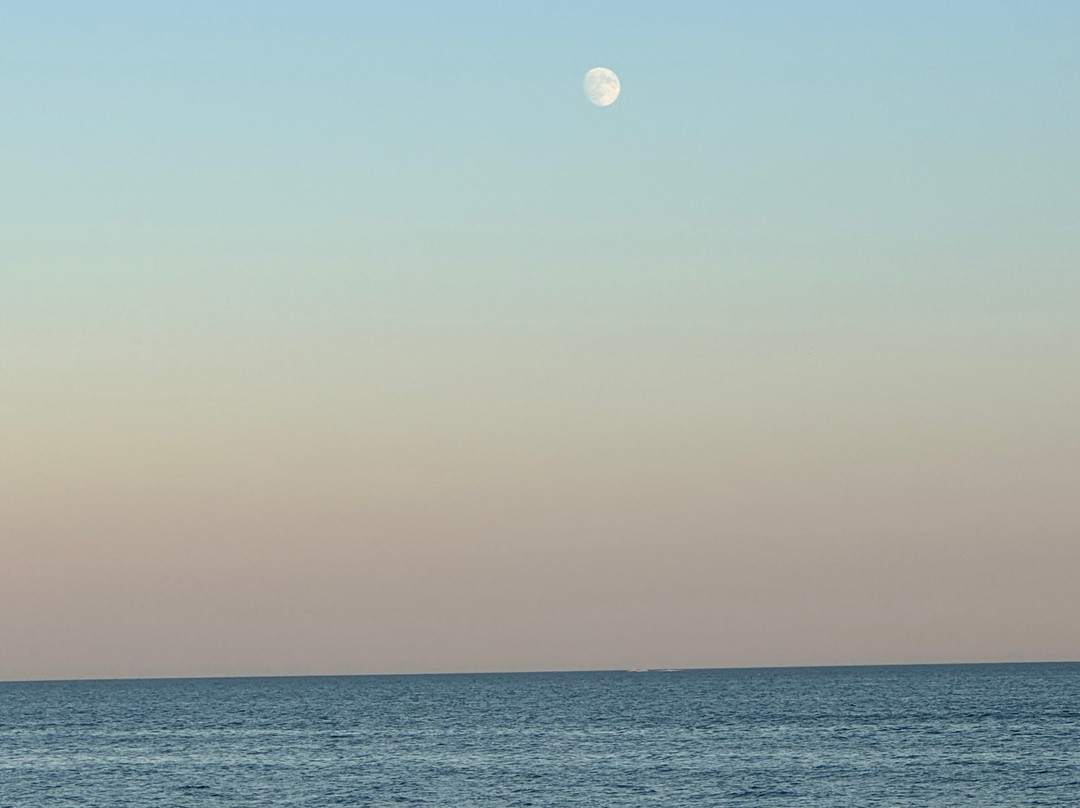 Surfcomber on the Ocean主图