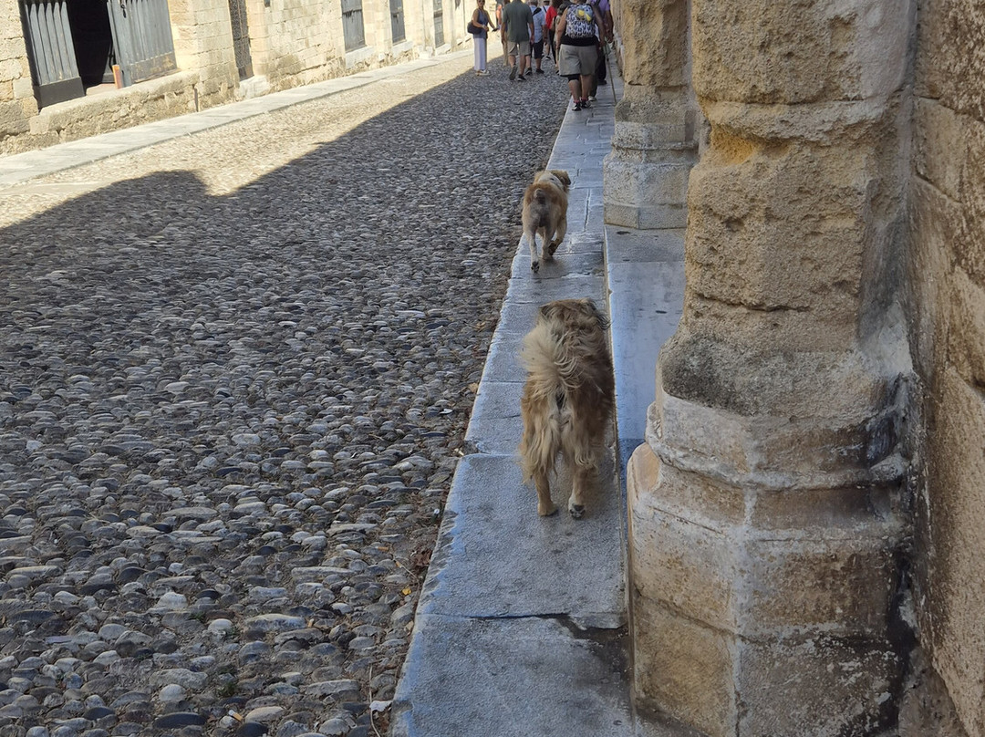 Street of the Knights-罗德城必去景点