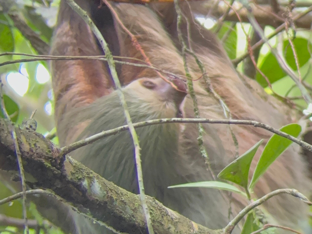 Ecogarden Arenal Family Project-福德圣卡洛斯必去景点