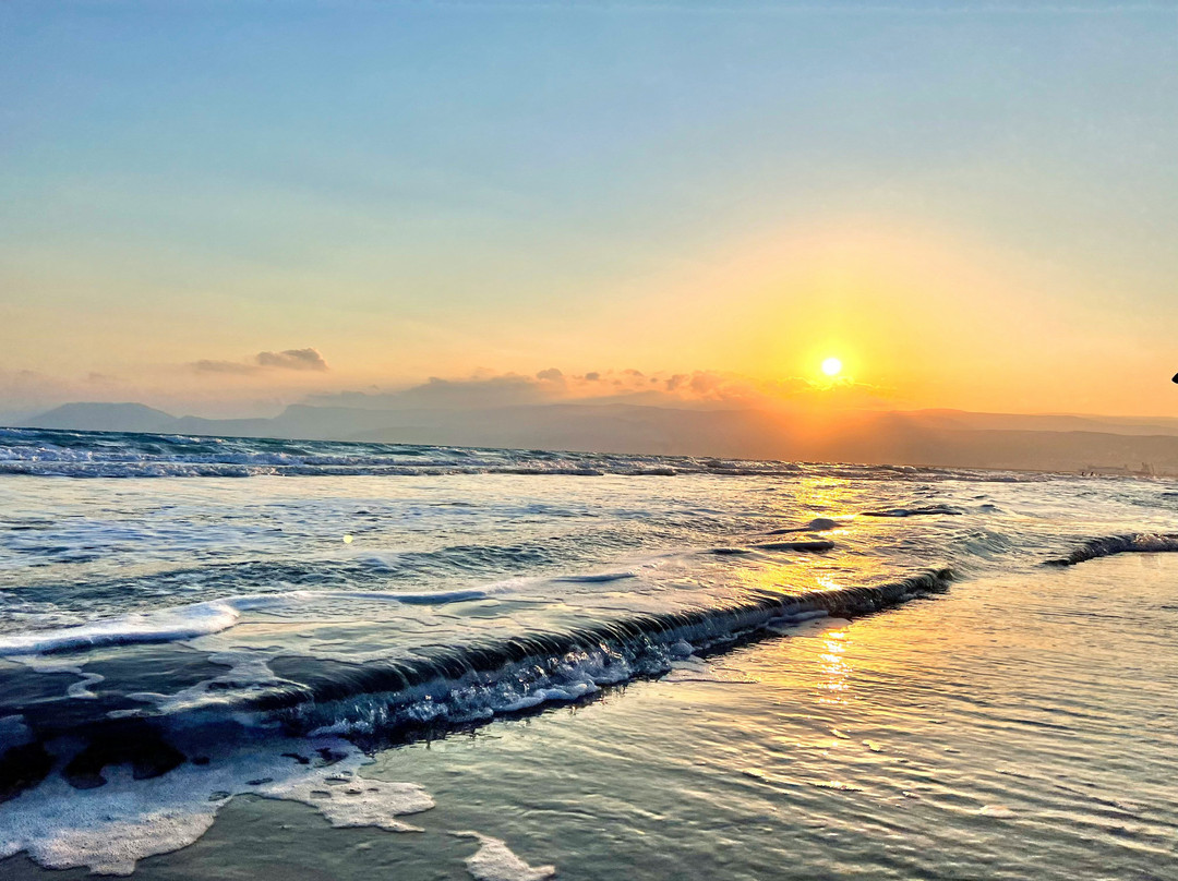 Falcon Tours-多哈必去景点