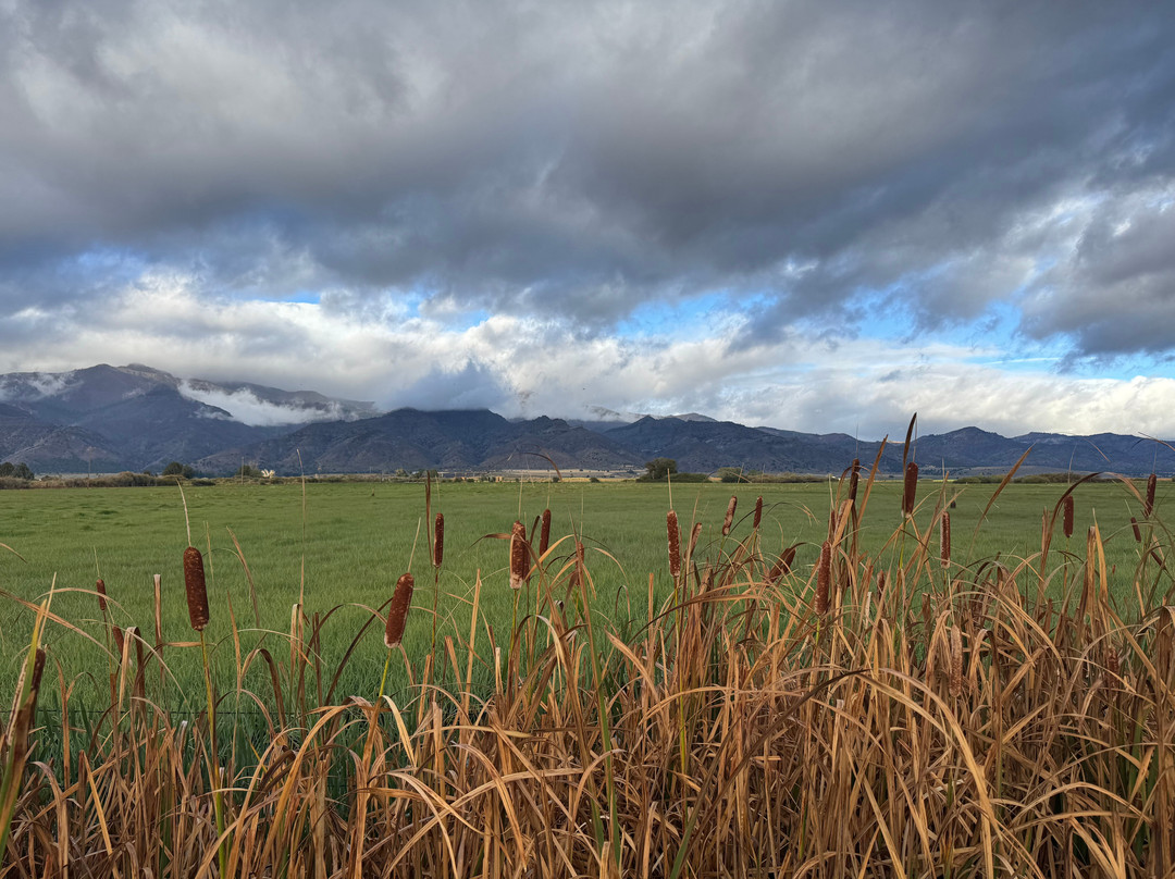 Cockrell's High Desert Lodging主图