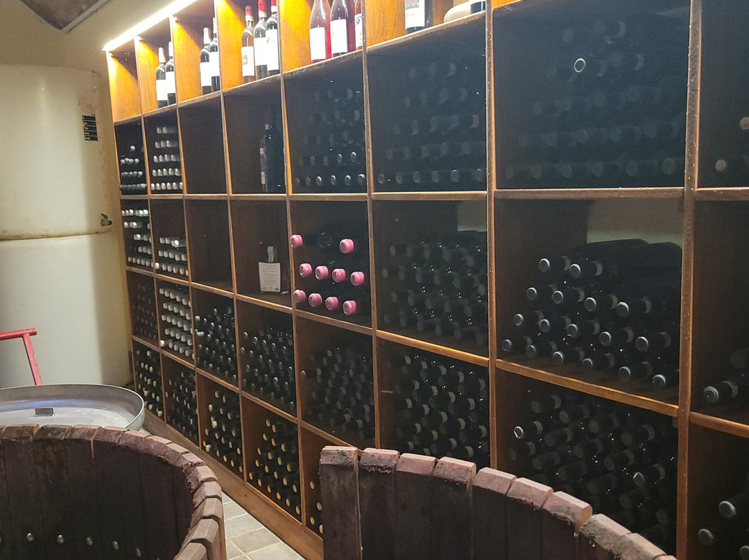 Poderi Arcangelo Winery-圣吉米尼亚诺必去景点