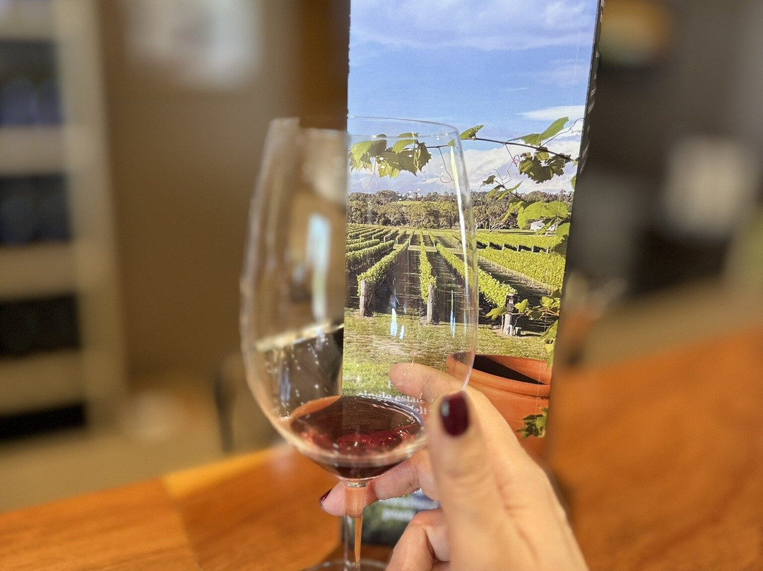 Savina Lane Wines-Severnlea必去景点