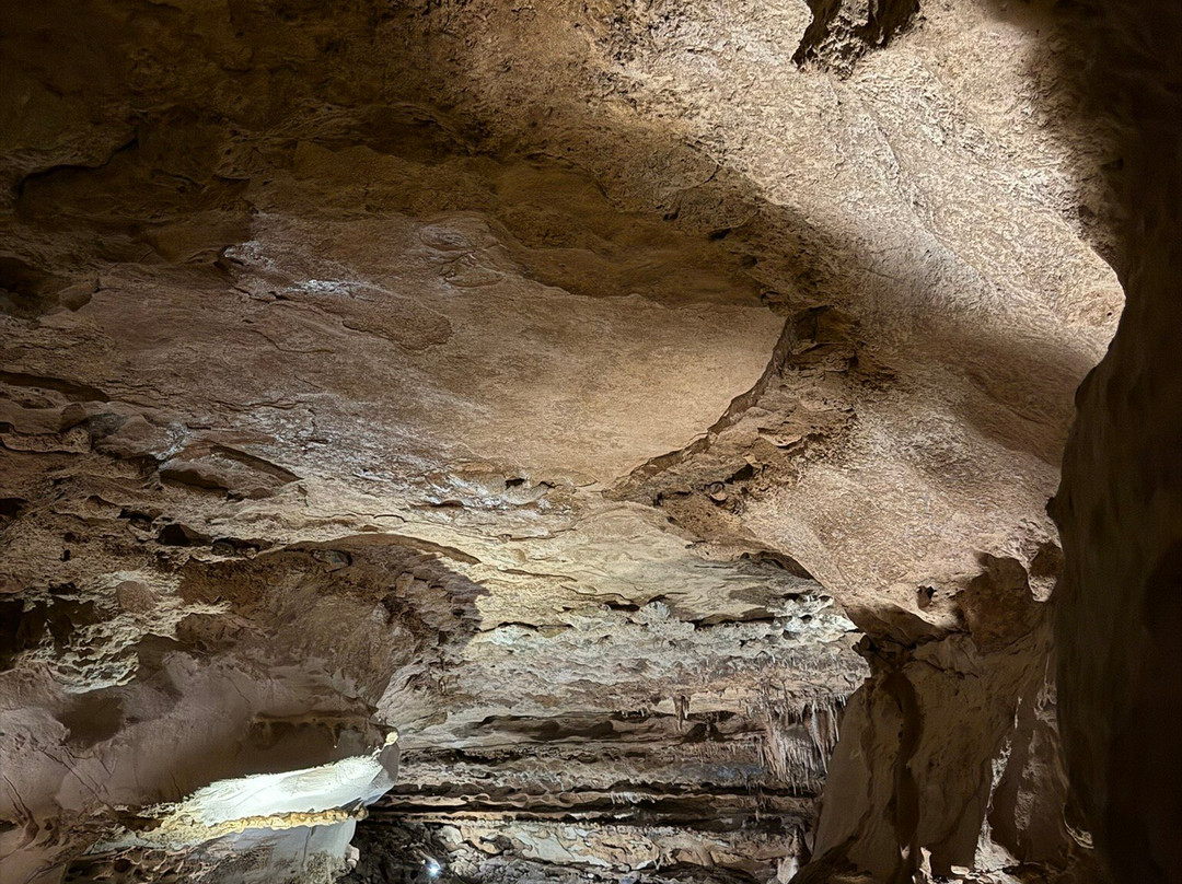 Inner Space Cavern-Georgetown必去景点