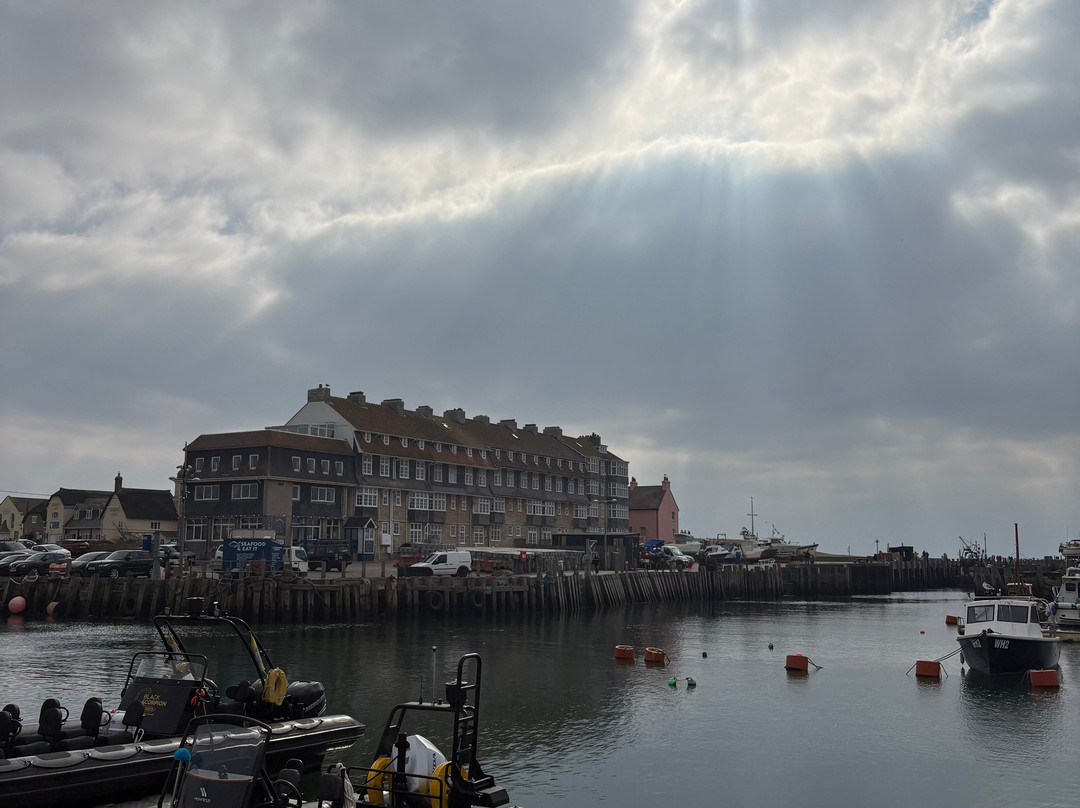 Lyme Bay Rib Charter-West Bay必去景点
