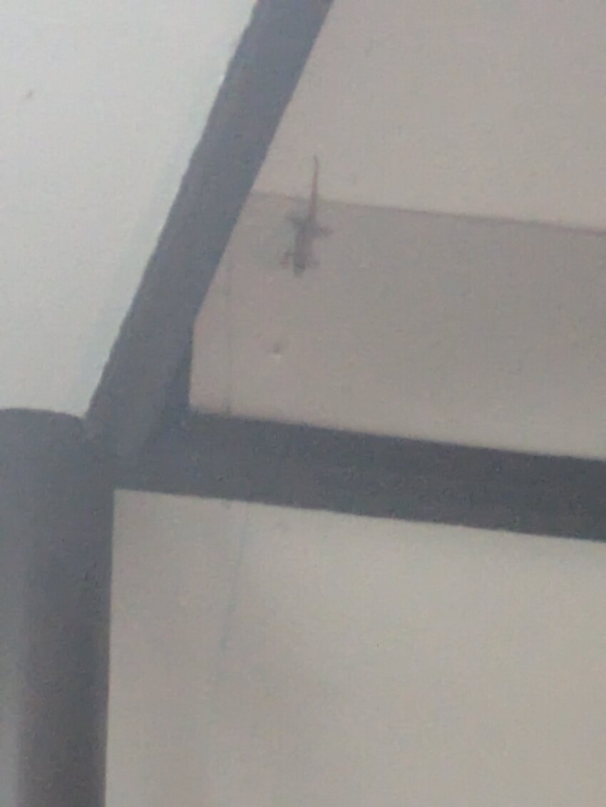 兰达尼斯海滩度假村-官方