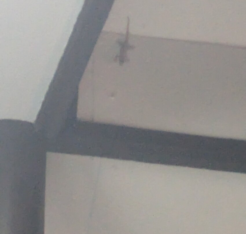 兰达尼斯海滩度假村主图