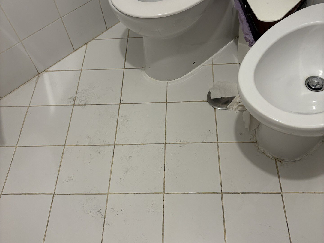 B&B Il Gattopardo Firenze主图