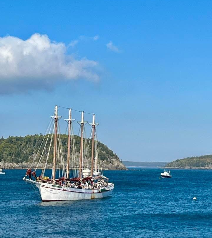 G&M Tours-Campton必去景点