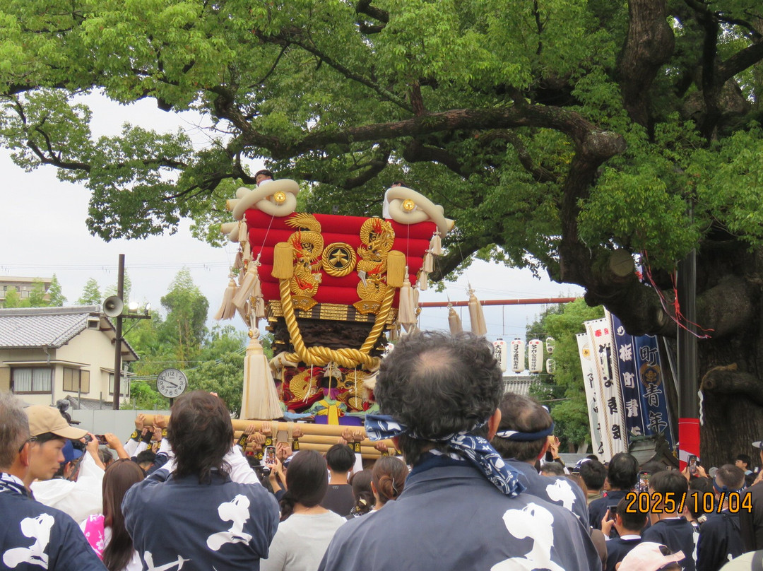 Mozu Hachimangu Shrine-坂井市必去景点