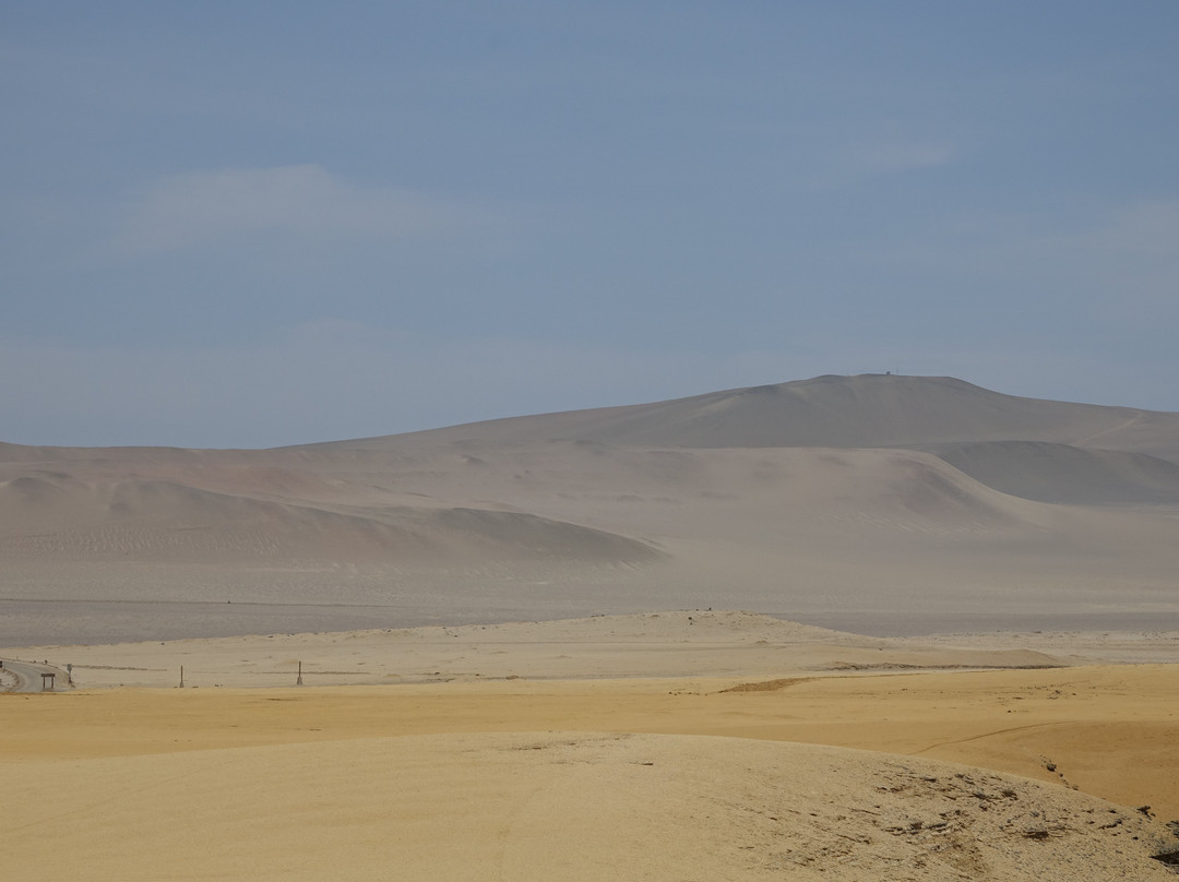 La Catedral-帕拉卡斯必去景点