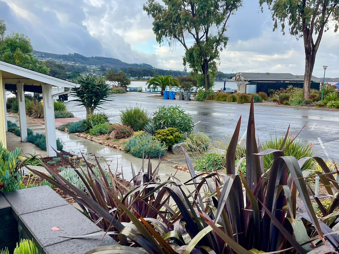 Baywood Inn Bed and Breakfast主图