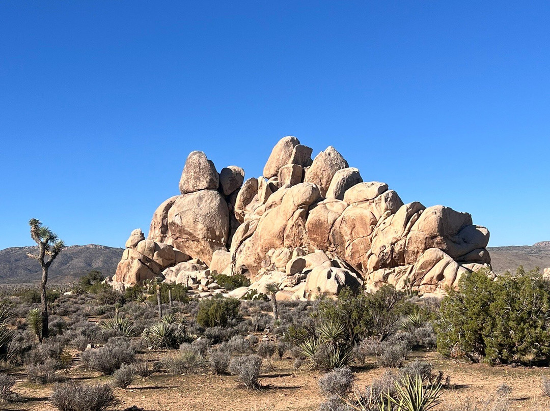 Cliffhanger Guides-约书亚树必去景点