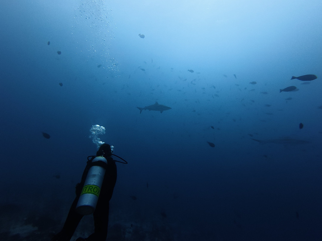 O2 Fakarava-Fakarava必去景点