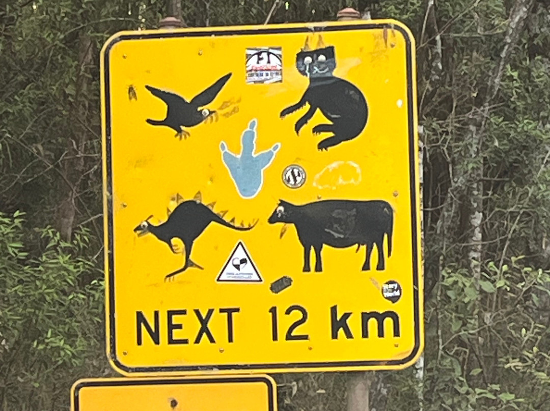 Great Otway National Park-Cape Otway必去景点