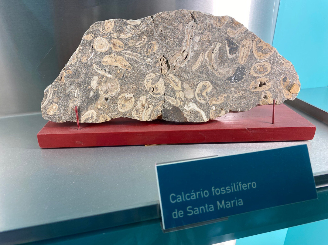 Centro de Interpretacao do Vulcao dos Capelinhos-奥尔塔必去景点