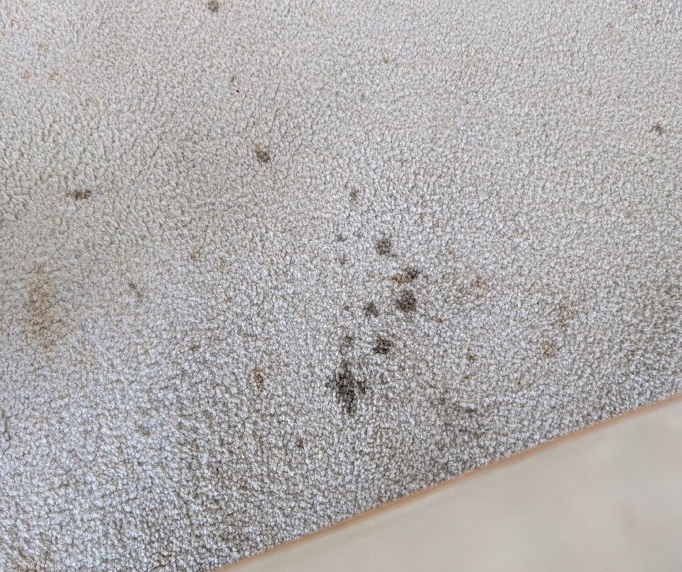 Dubrovnik Airport Business Lounge-Mocici必去景点