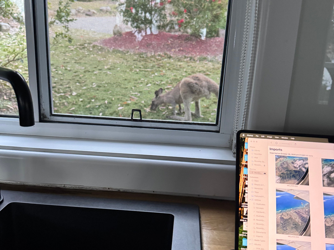 Murramarang National Park-East Lynne必去景点