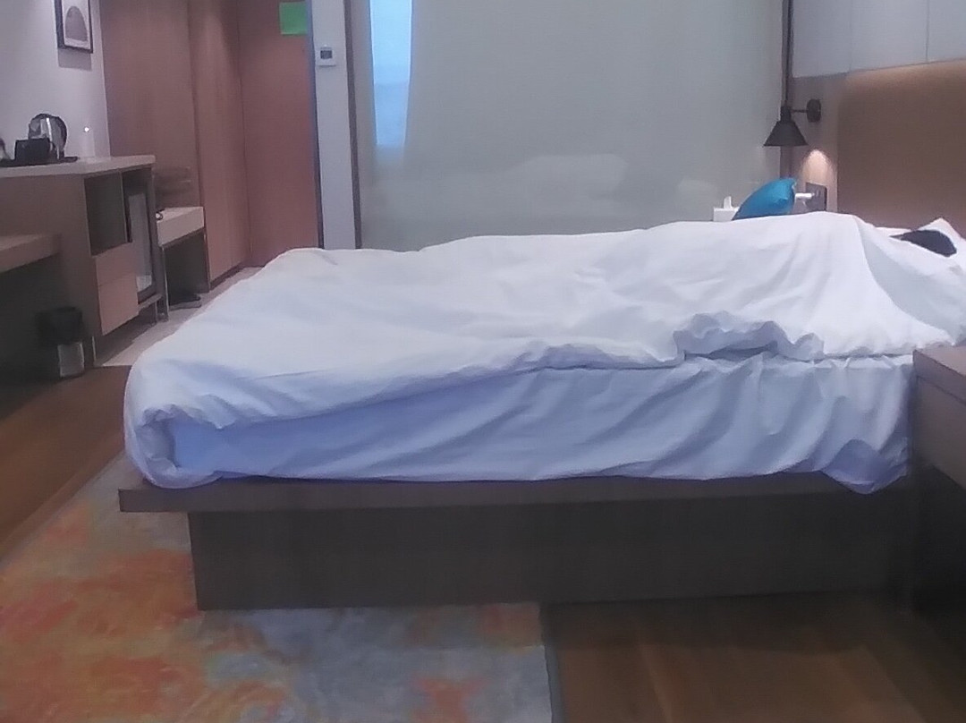 Sayaji Jamnagar主图