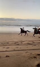 Horse Sidi Rahal-Sidi Rahal必去景点