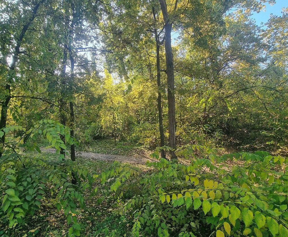 Park of the 30th anniversary of the Victory-克拉斯诺达尔必去景点