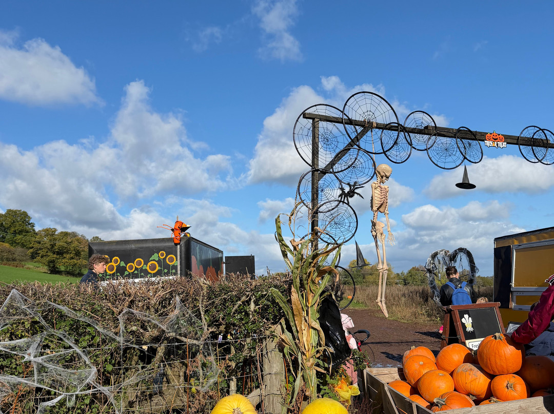 Ty Poeth Farm & Shop-Pontypool必去景点