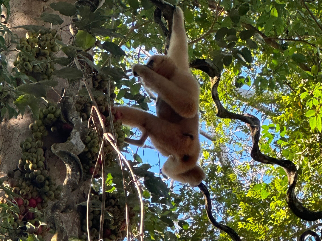 Vietnature Tour (cattien Wild Tour)-Tan Phu District必去景点