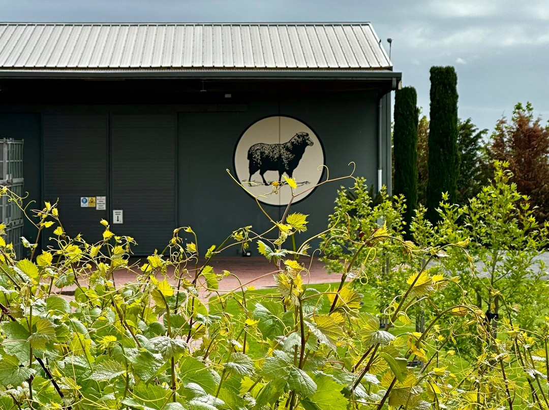 Hugh Hamilton Wines-麦克拉伦谷必去景点