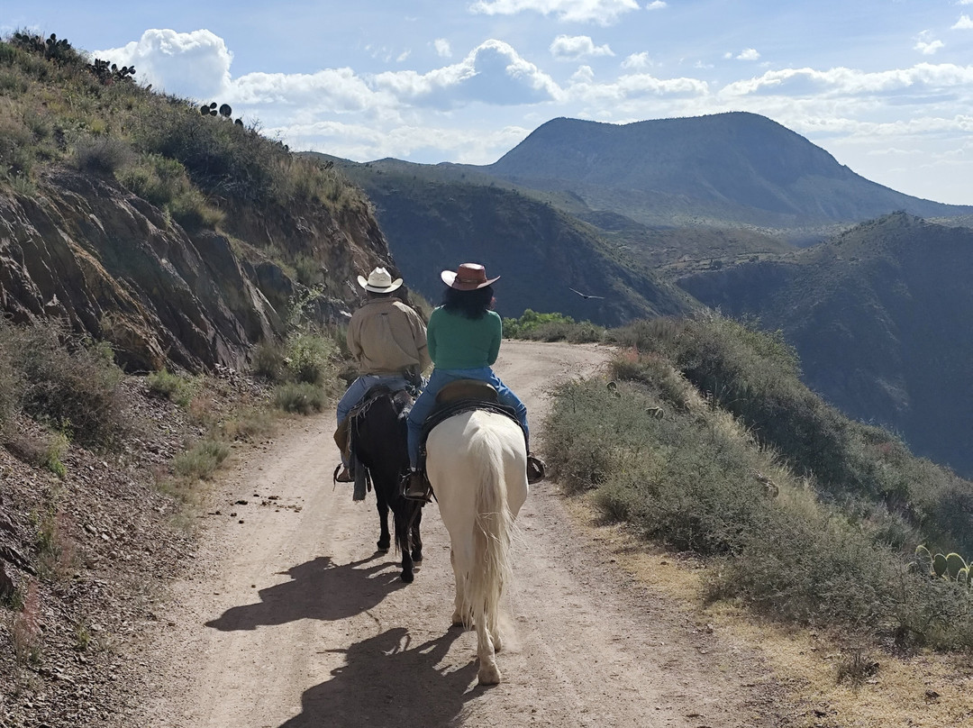 Real de Catorce-中部墨西哥和墨西哥湾沿岸必去景点