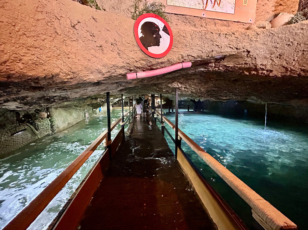 Aquarium Cap Blanc-圣安东尼德波特曼尼必去景点