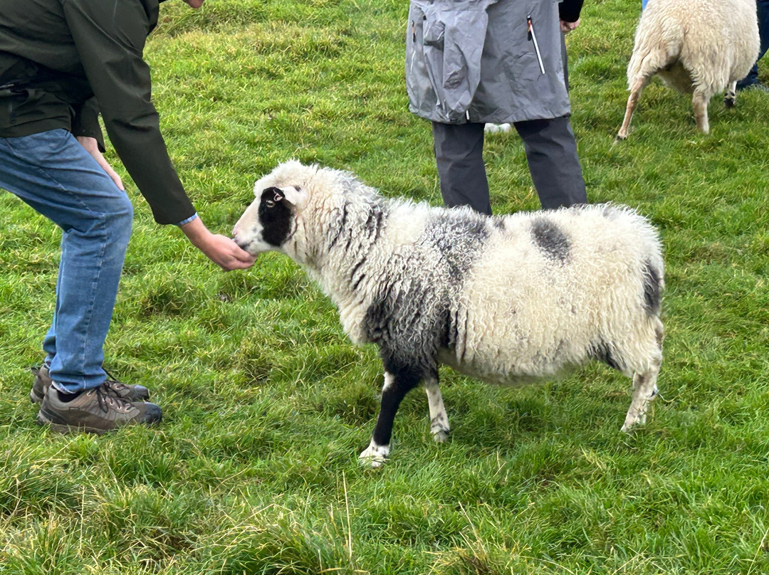 Shetland Islands旅游景点-GarthsCroftBressay
