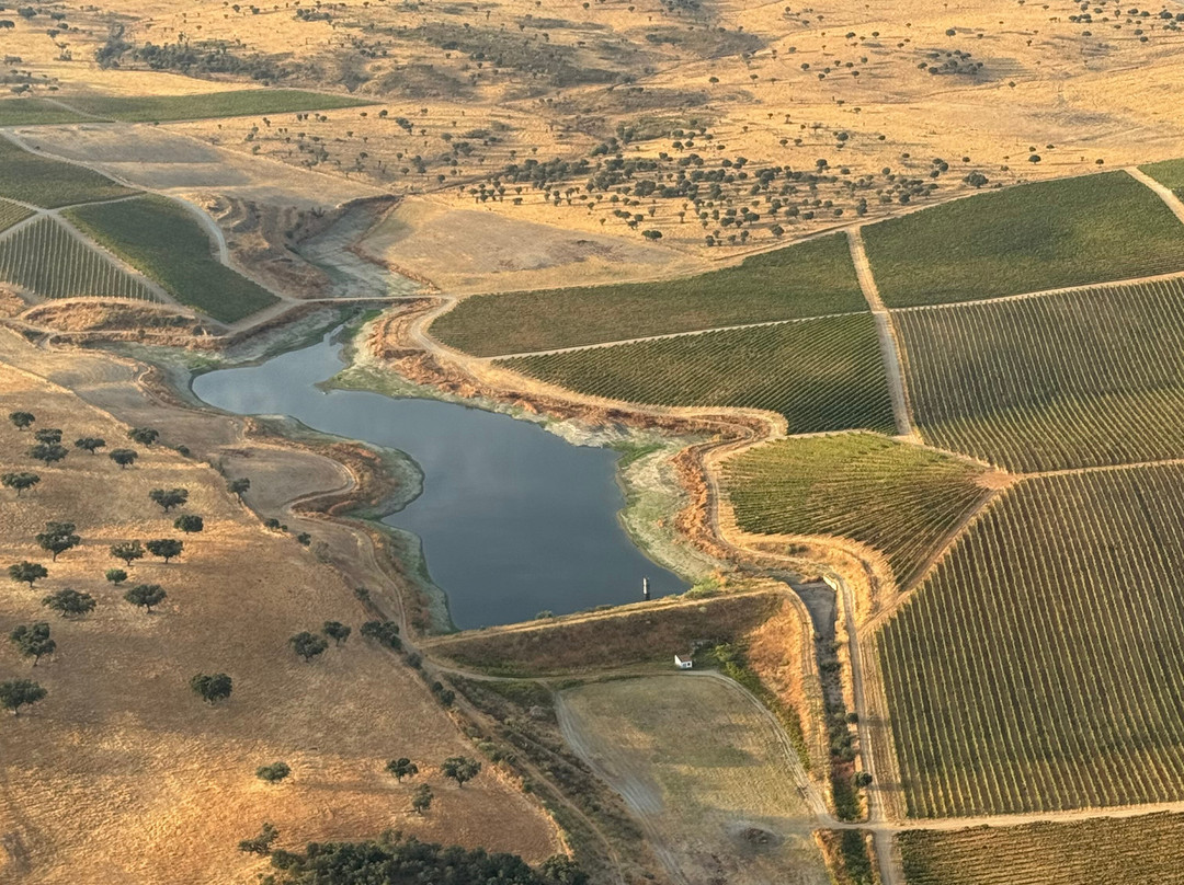 FlyDreams Alentejo-Terena必去景点