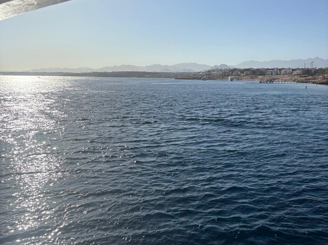 VIP Diving College-沙姆沙伊赫必去景点