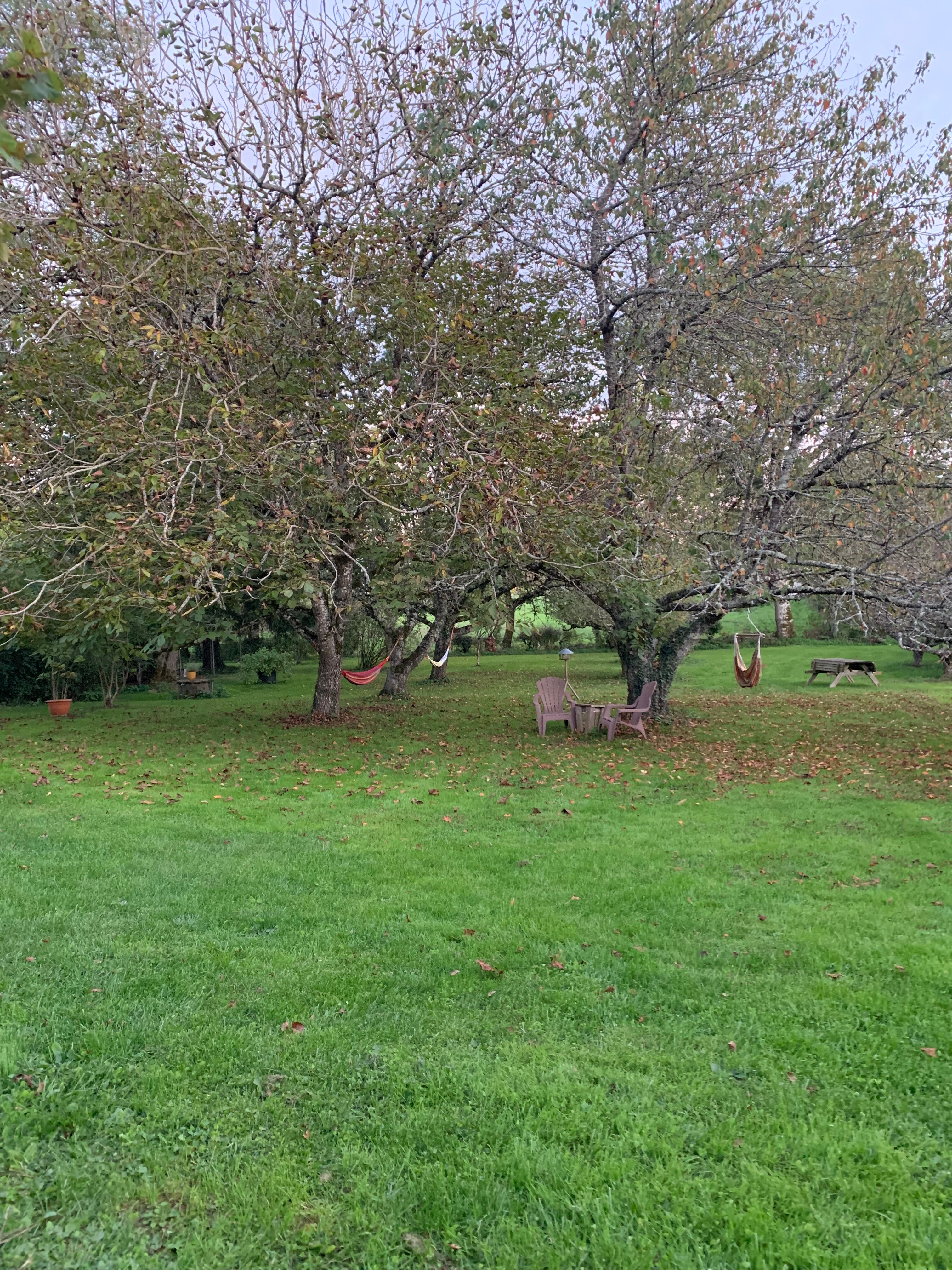 Les Savonniers-官方