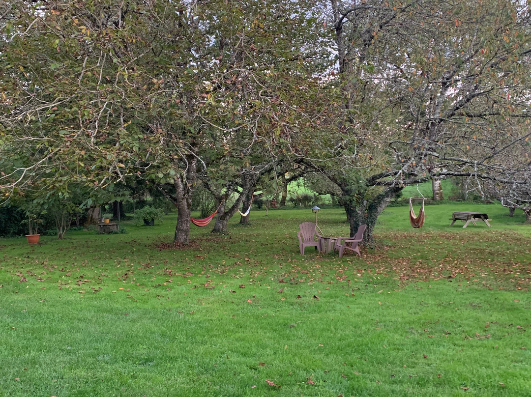 Les Savonniers主图