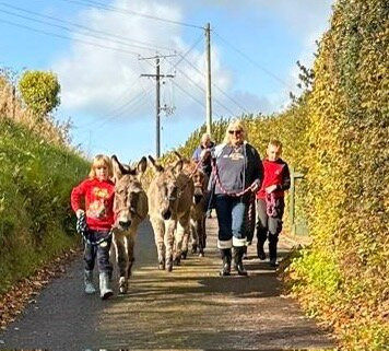 Donkey Walking Adventures-Beaminster必去景点