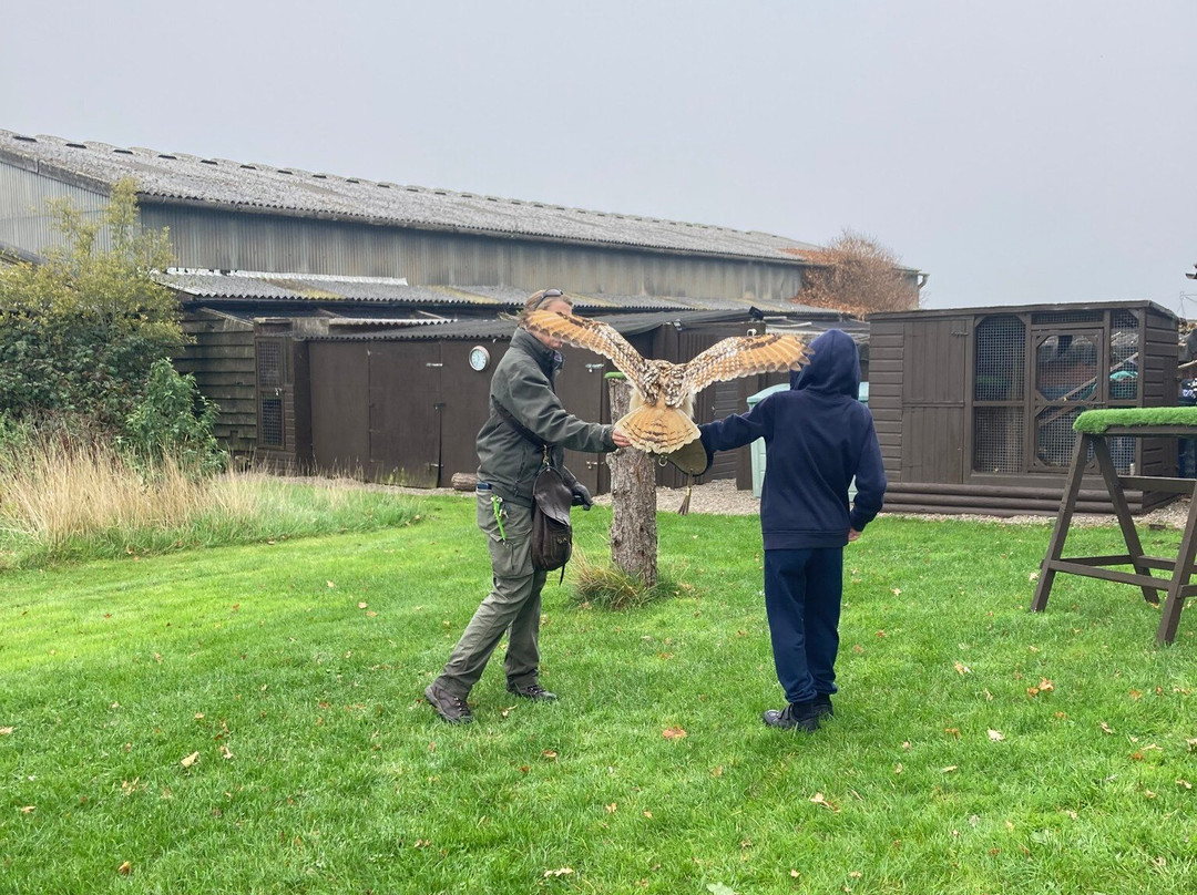 Battlefield Bird of Prey Centre-什鲁斯伯里必去景点
