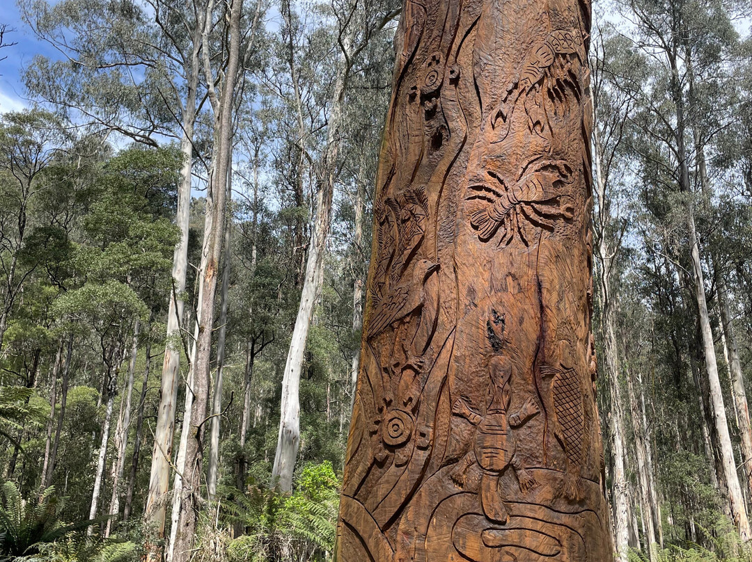 Toorongo Falls-Noojee必去景点